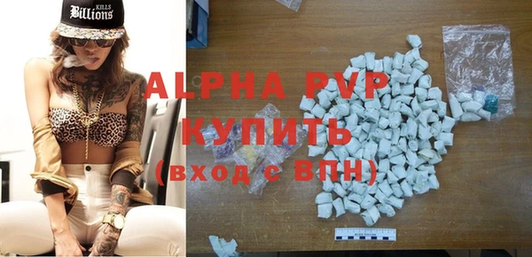 стаф Сосновый Бор
